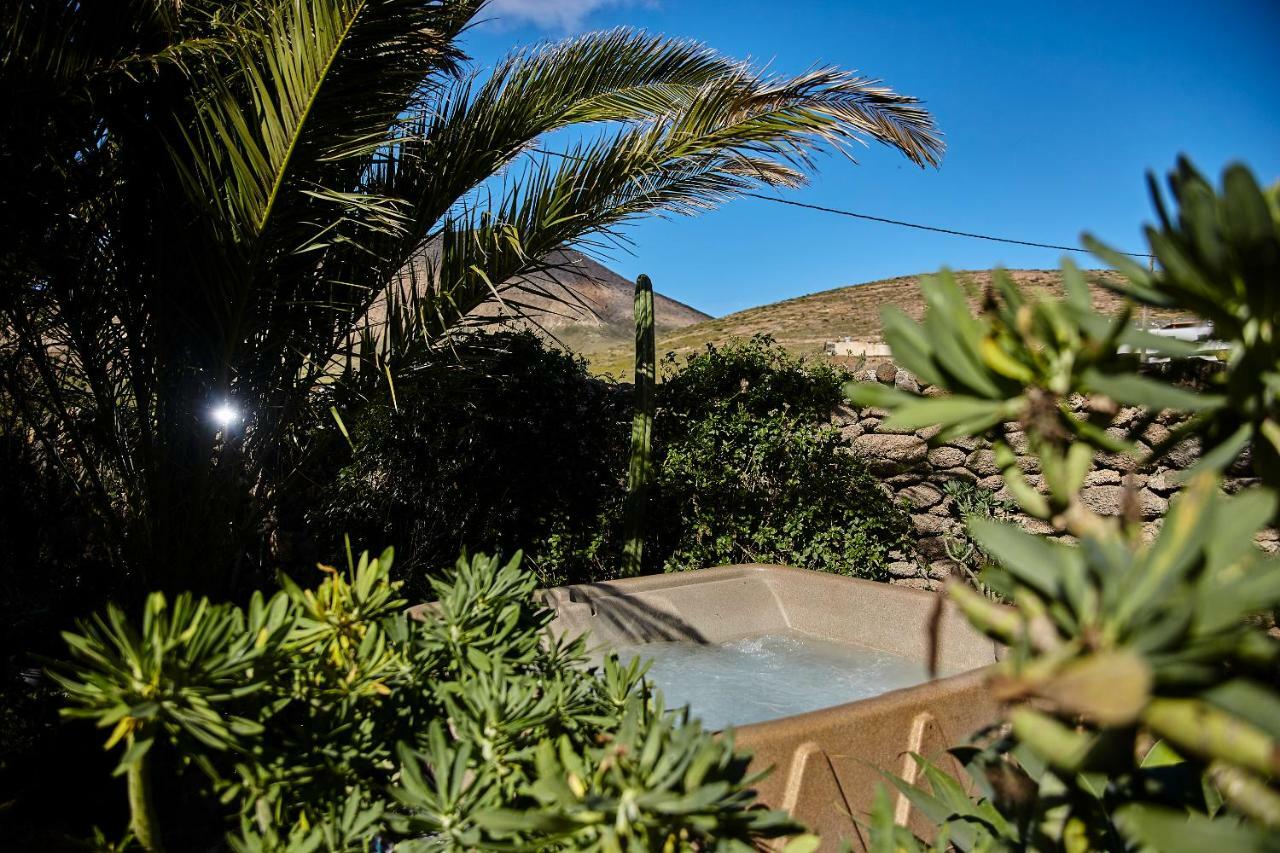Palmeras Canarias Casa rural Uga