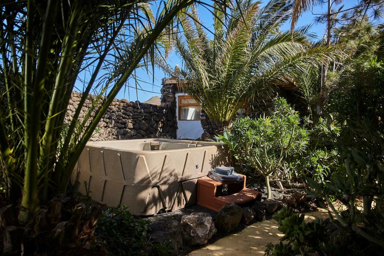 Palmeras Canarias *