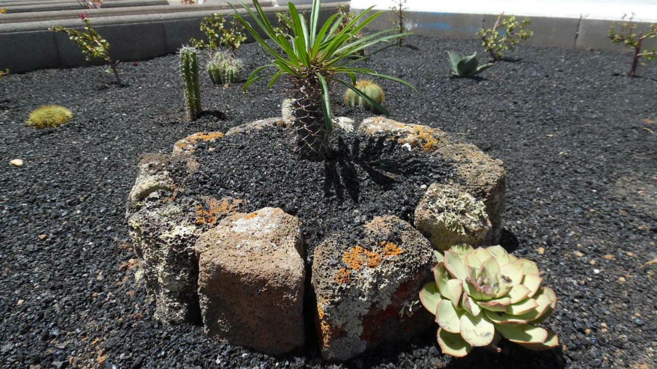 Apartamento Magmamia Puerto del Carmen (Lanzarote)