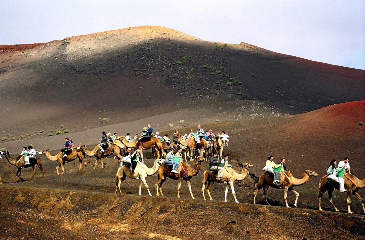 Atico Alba * Arrecife (Lanzarote)