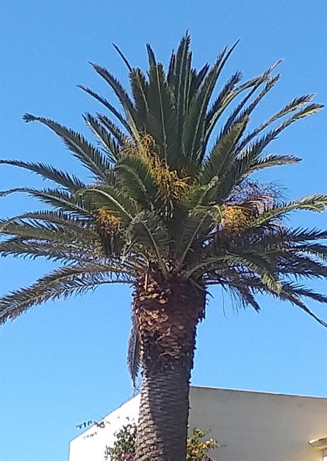 I Love Yoga La Asomada (Lanzarote)