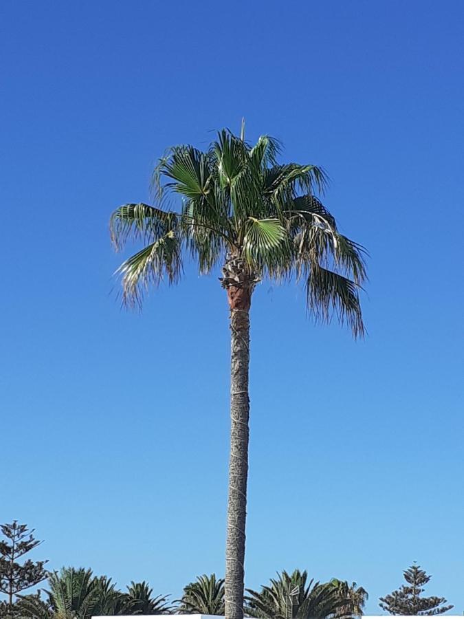 Casa Blanca * Arrecife (Lanzarote)